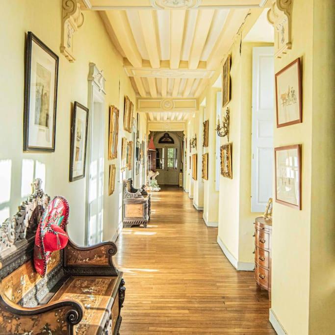 Chateau D'Ardenay Sur Merize 外观 照片