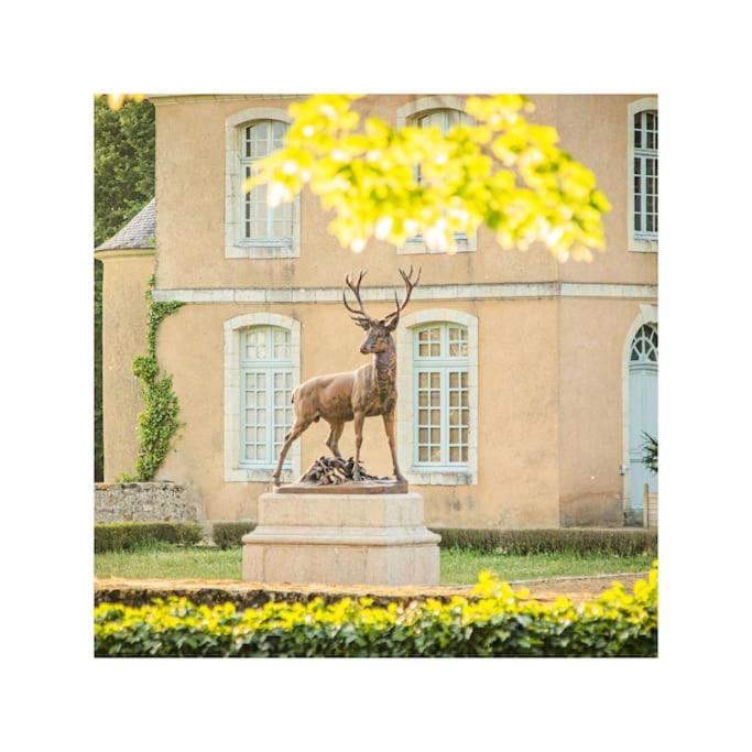 Chateau D'Ardenay Sur Merize 外观 照片